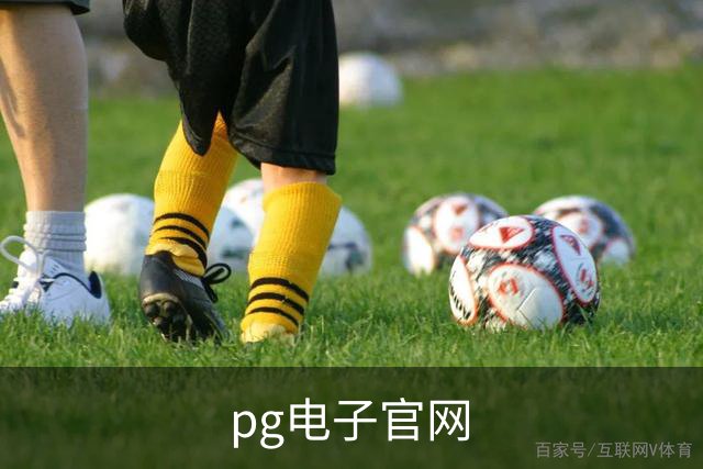 pg电子官网公司简介